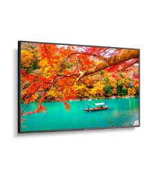 NEC 49" Wide Color Gamut 4K UHD Professional Display - 13NEC-MA491