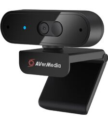 AVerMedia HD Webcam 310 (PW310P)