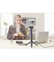 AVerMedia HD Webcam 310 (PW310P)