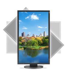 NEC NQR LED TN Panel VGA DVI - 13NEC-EA223WM-BK-NQR