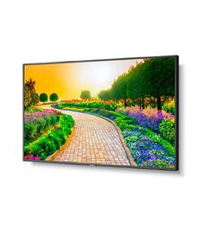 NEC 49" 4K Ultra High Definition Commercial Display - 13NEC-M491