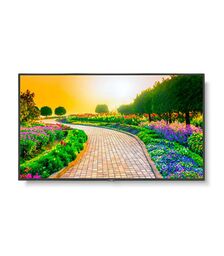 NEC 55" 4K Ultra High Definition Commercial Display - 13NEC-M551