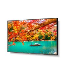 NEC 43" Wide Color Gamut 4K UHD Professional Display - 13NEC-MA431