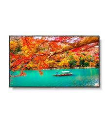 NEC 55" Wide Color Gamut 4K UHD Professional Display - 13NEC-MA551