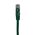 Shintaro Cat6 24 AWG Patch Lead Green - 01SHC6-GRE-1