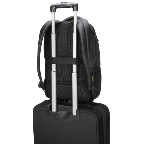 TargusTCG660GL  15.6" CityGear 3® Backpack