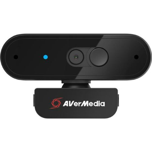 AVerMedia HD Webcam 310 (PW310P)