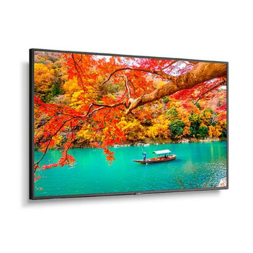 NEC 49" Wide Color Gamut 4K UHD Professional Display - 13NEC-MA491