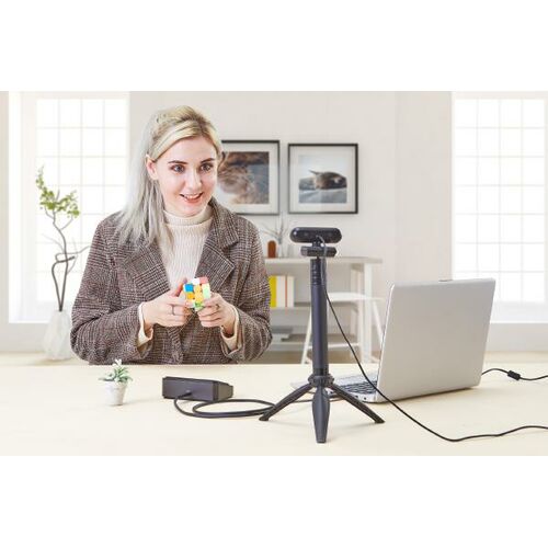 AVerMedia HD Webcam 310 (PW310P)