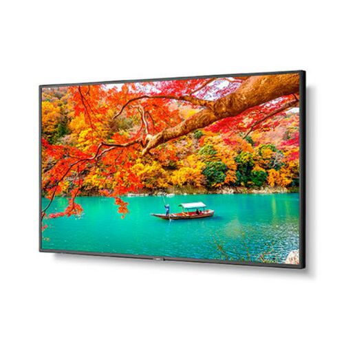 NEC 43" Wide Color Gamut 4K UHD Professional Display - 13NEC-MA431