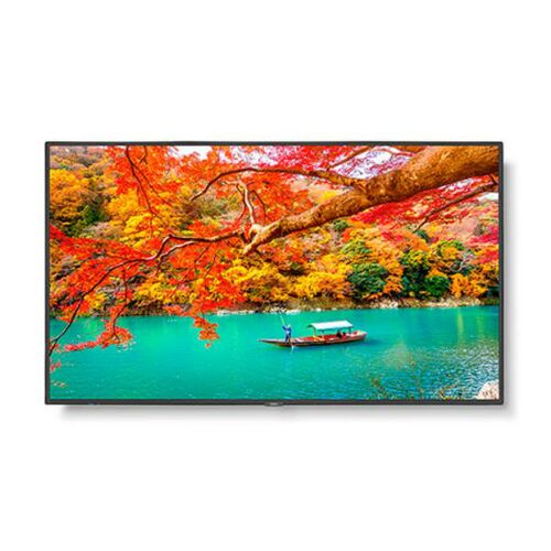 NEC 43" Wide Color Gamut 4K UHD Professional Display - 13NEC-MA431