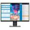 Dell P2421 Widescreen LCD Monitor 24.1 inch