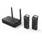 AVerMedia AW5 Wireless Microphone Audio System Dual AW315 DUAL