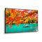 NEC 49" Wide Color Gamut 4K UHD Professional Display - 13NEC-MA491