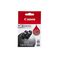 Canon PGI520BK BLACK Ink Cartridge TWIN PACK - P/N:PGI520BK-TWIN