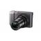 Panasonic Lumix Compact Zoom Digital - DMC-TZ110GNS